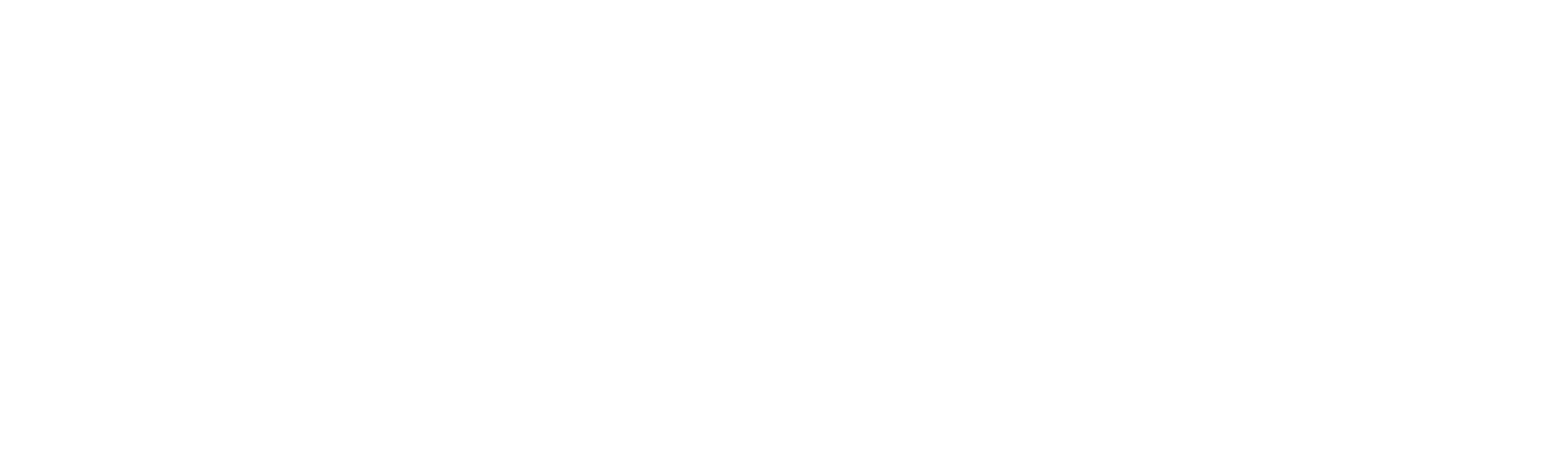 No BS Business Women Logo